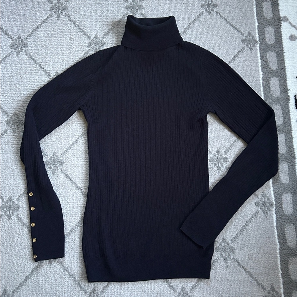 Hobbs Lara Role Neck Merino Wool Sweater